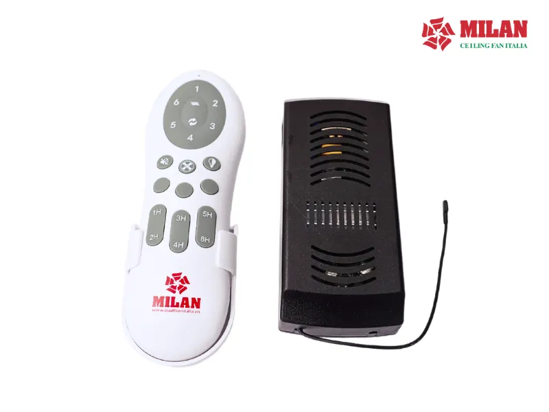 quat-tran-remote-chinh-hang